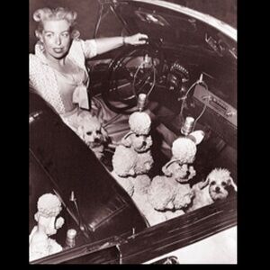 Phyllis Morris Textured poodle lamp collectors